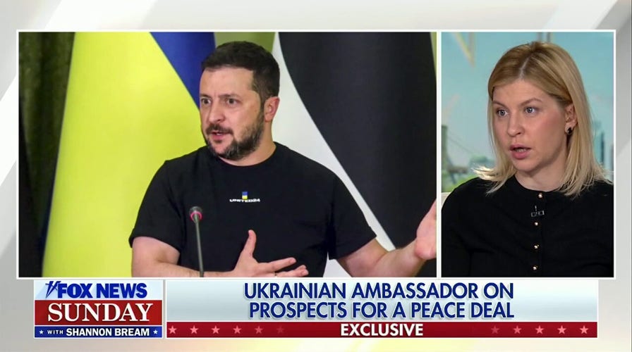 Ukrainian ambassador shares update on Russia-Ukraine peace deal negotiations