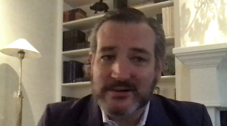 Ted Cruz explains what 'bureaucratic hurdles' small businesses may face