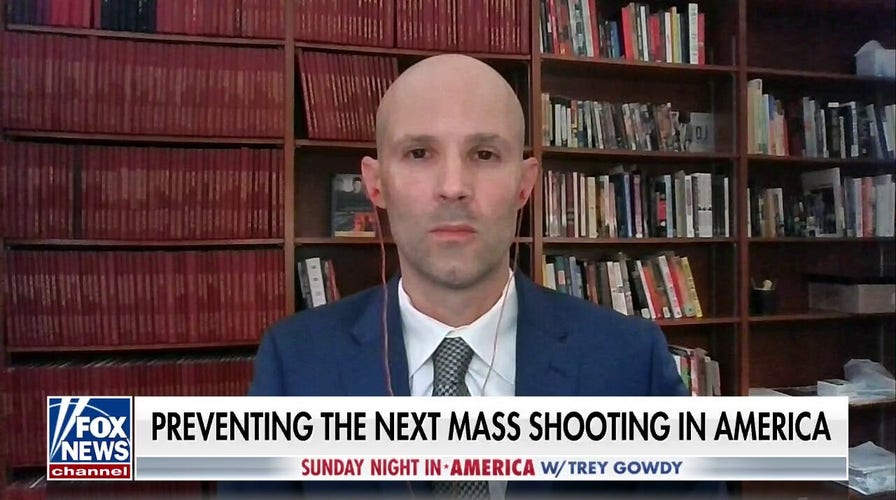 Criminology expert weighs in on what can be done to prevent mass shootings