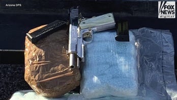 Border Patrol arrests gang members, migrant with child sex crime conviction in groups crossing into US