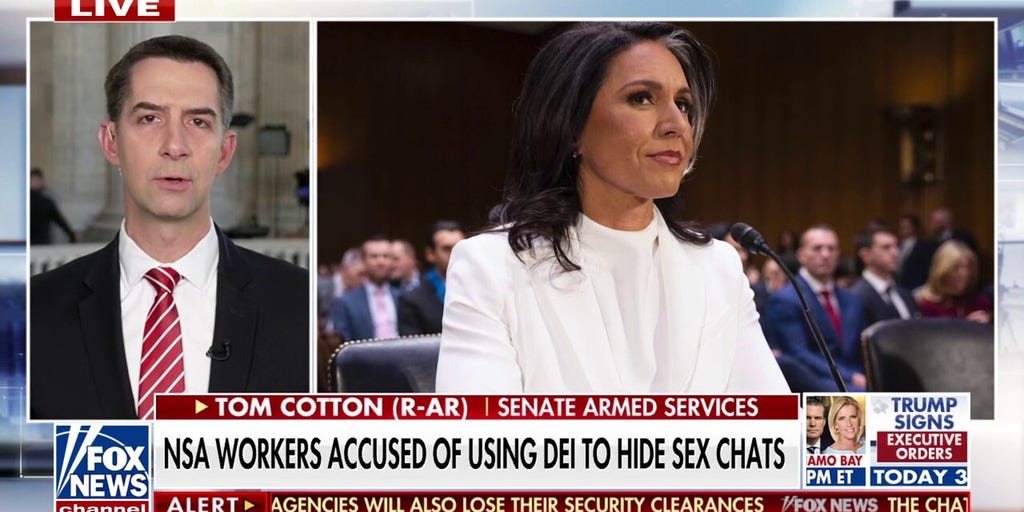 Sen. Tom Cotton reacts to lewd NSA chats: 'We don't want these people anywhere near classified information'