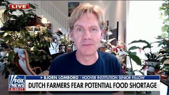 Dutch farmers protest 'phenomenally costly' emission laws, expert calls for 'balance' in climate policies