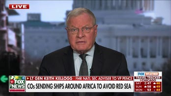 Shipping companies are ‘voting with their fleet’ by avoiding Red Sea: Lt Gen Kellogg