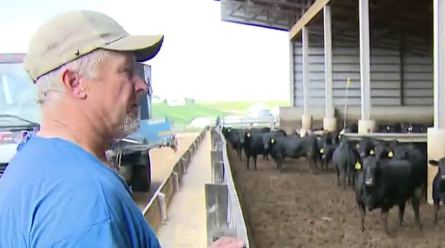 Iowa Gov.: Farmers do not blame Trump for China trade war, 'sticking with him'