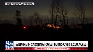 South Carolina wildfire threatens homes, triggers evacuations - Fox News
