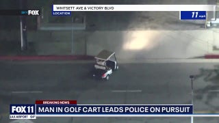 Los Angeles man driving a golf cart with a dog in his lap as leads a police chase - Fox News