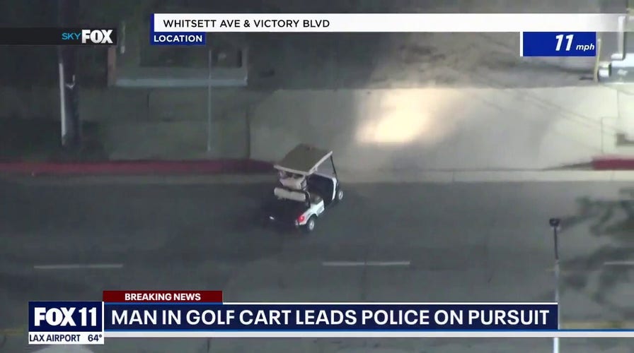 Los Angeles man driving a golf cart with a dog in his lap as leads a police chase