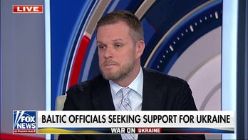 Lithuania must ‘send a very clear message’ that Russian missiles will be taken down: Gabrielius Landsbergis