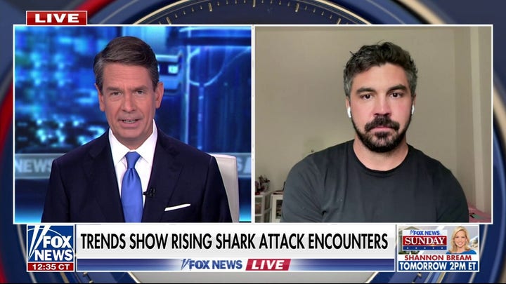 Marine biologist encourages vigilance in the ocean after uptick in shark encounters