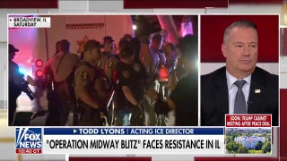 Acting ICE director highlights how cartels use women to 'hide in plain sight' - Fox News