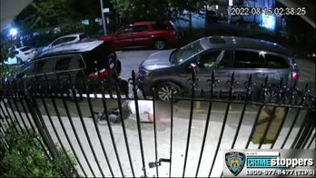 NYPD seeks to ID suspects in robbery of 67-year-old man caught on video