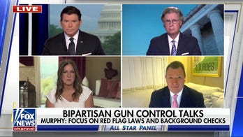 Will Congress be able to pass bipartisan gun control measures? 