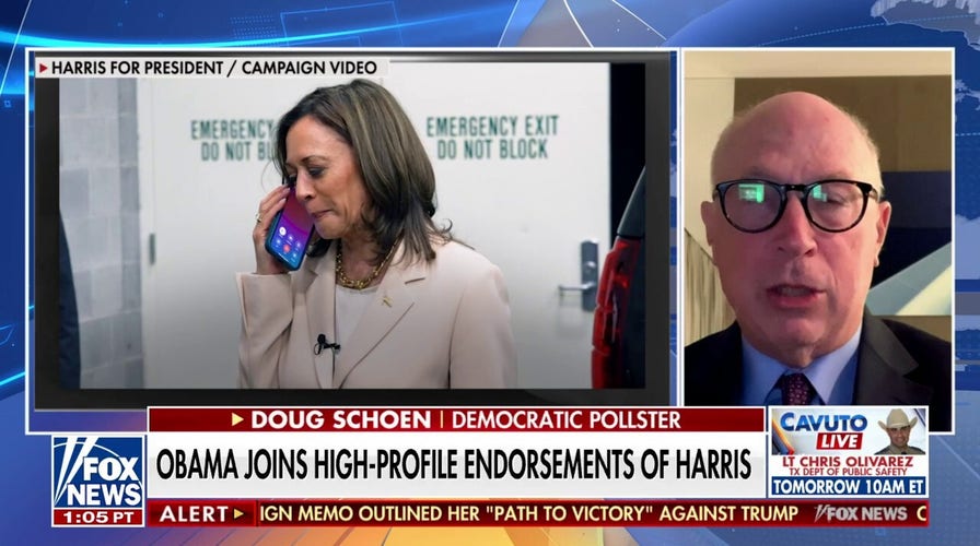 Dem pollster reacts to Obama endorsing Harris in phone call: 'Everything's scripted'