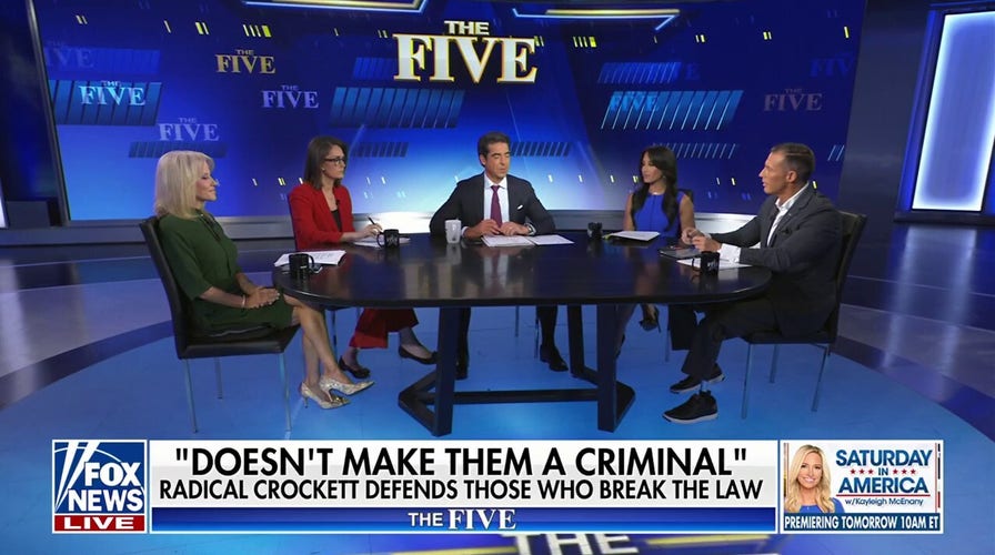 Emily Compagno: Shocked by Jasmine Crockett’s ‘audacity’ in defining a criminal