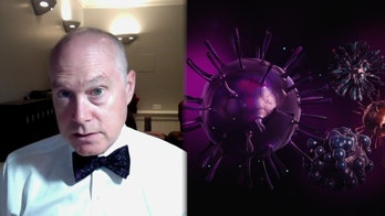 US coronavirus crisis could last 18 months or more, federal plan warns: report