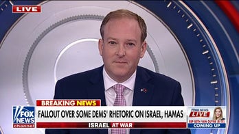 Democrat anti-Israel rhetoric is 'painful' for American foreign policy, Israel relationship, American Jews: Lee Zeldin