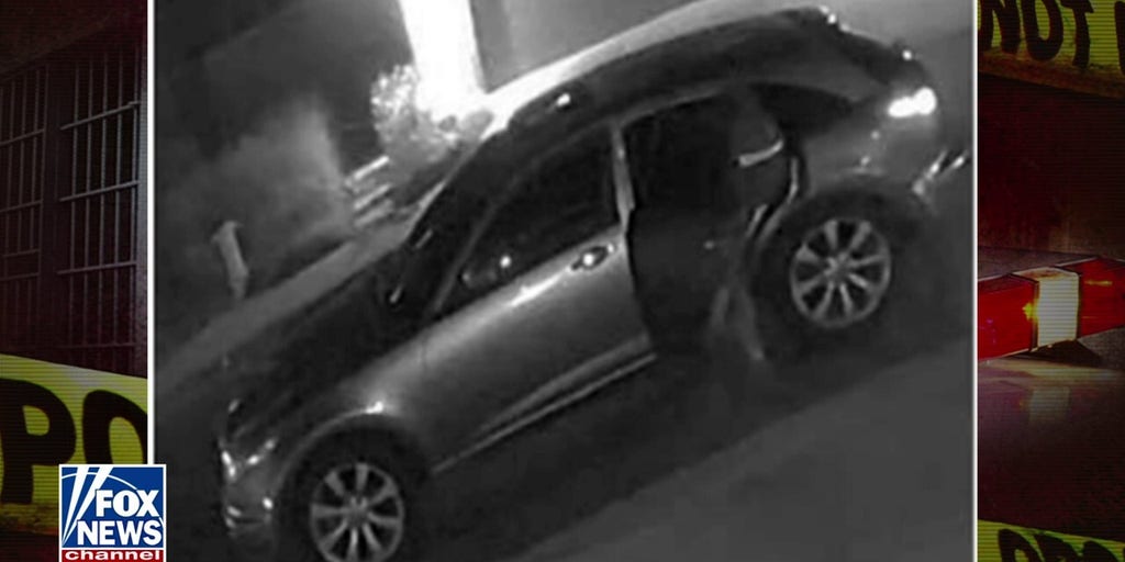 VIDEOS SHOW AGENT SECURED GUN FROM PRETTI BEFORE visual data 5