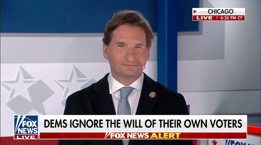 Dean Phillips ‘terribly disappointed’ in party nomination process, ‘pleased’ Biden stepped down