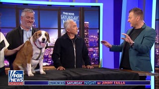 'Dog Whisperer' reveals what makes pups tick - Fox News