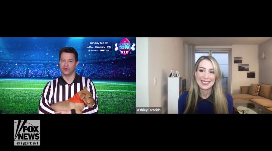 Puppy Bowl 2023 returns with more than 100 adoptable puppies