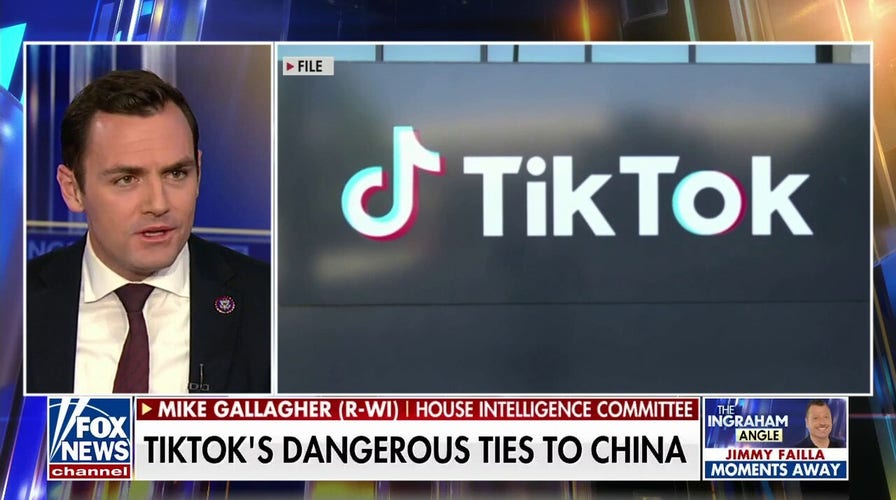 Rep. Mike Gallagher: TikTok is like 'digital fentanyl' for users
