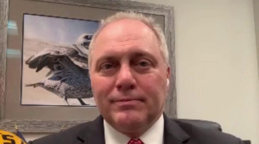 Democratic leaders ‘don’t seem to care’ that they are ‘crushing’ small businesses: Rep. Scalise