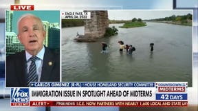 Immigration policy has 'cost us a lot' among Hispanic voters: Rep Carlos Gimenez