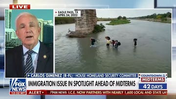 Immigration policy has 'cost us a lot' among Hispanic voters: Rep Carlos Gimenez