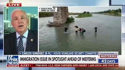 Immigration policy has 'cost us a lot' among Hispanic voters: Rep Carlos Gimenez