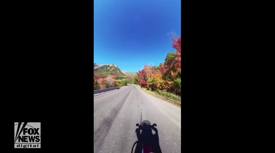 Fall leaves display their beauty in Utah as the season changes