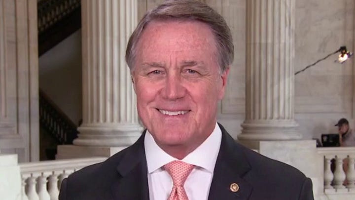 Sen. David Perdue on urgency of passing GOP police reform bill