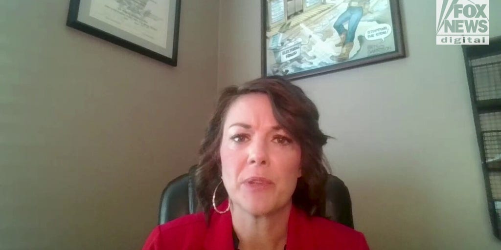 \State lawmakers prepare for pro-life legislative blitz to 'make America pro-life again'