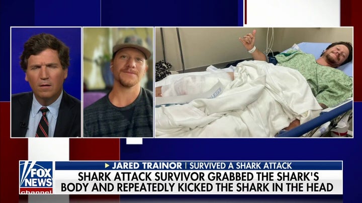 California man recounts Great White shark attack