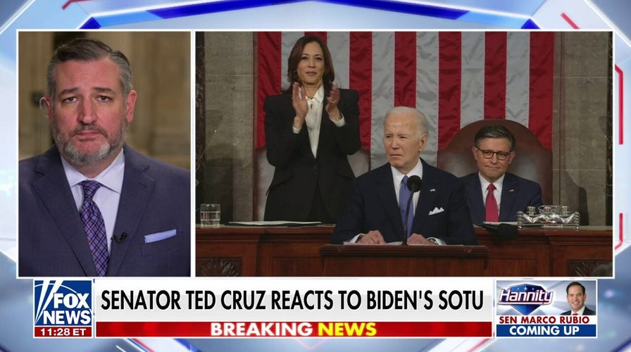 'Angry, bitter, screaming' Biden issued an 'extreme' campaign speech, not a SOTU: Ted Cruz