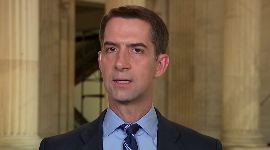 Sen. Cotton: Chuck Schumer thinks Democrats can 'take' Georgia