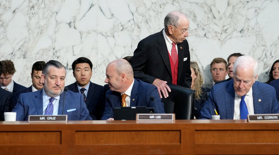  Senate sheet  examines allegations of Somali fraud successful  Minnesota