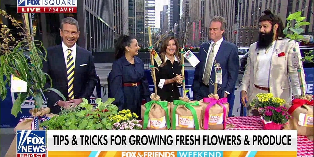 Experts share tips to prepare your garden for spring
