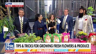 Experts share tips to prepare your garden for spring