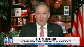 Lee Zeldin: Democratic Party is being led by 'antisemitism' - Fox News