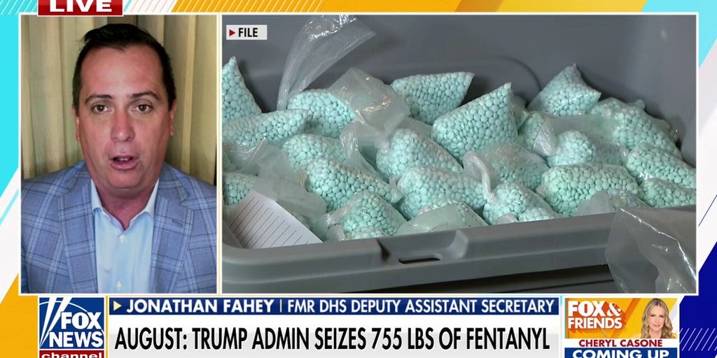 Former ICE director says left-wing leaders are 'putting politics over public safety'