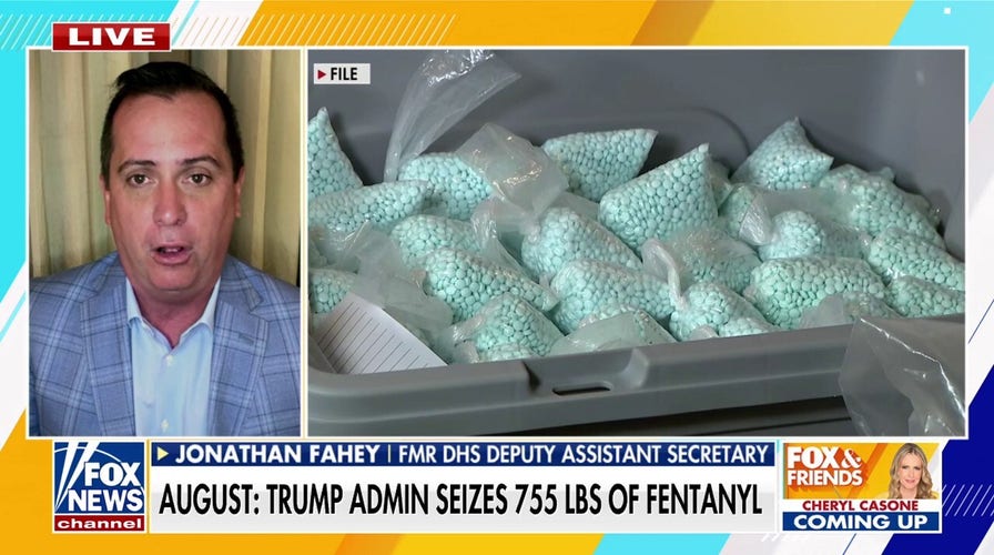 Former ICE director says left-wing leaders are 'putting politics over public safety'