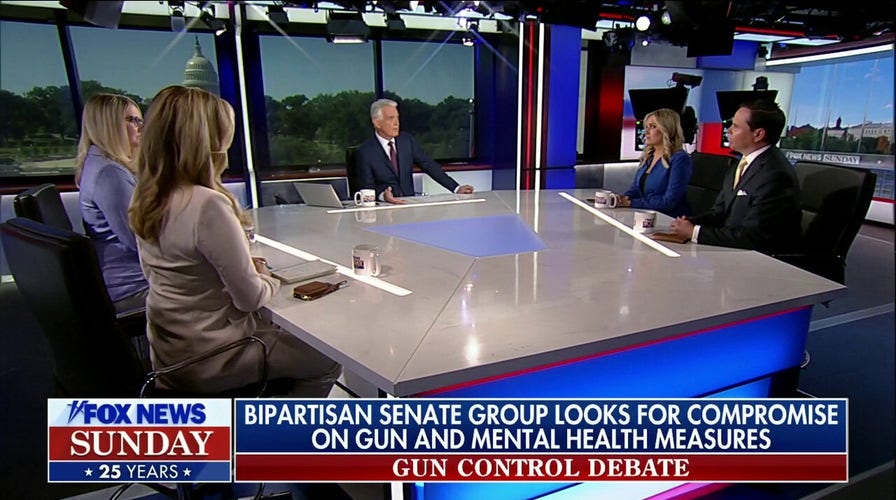 Political panel: 'Holistic' gun control measures needed in potential legislation