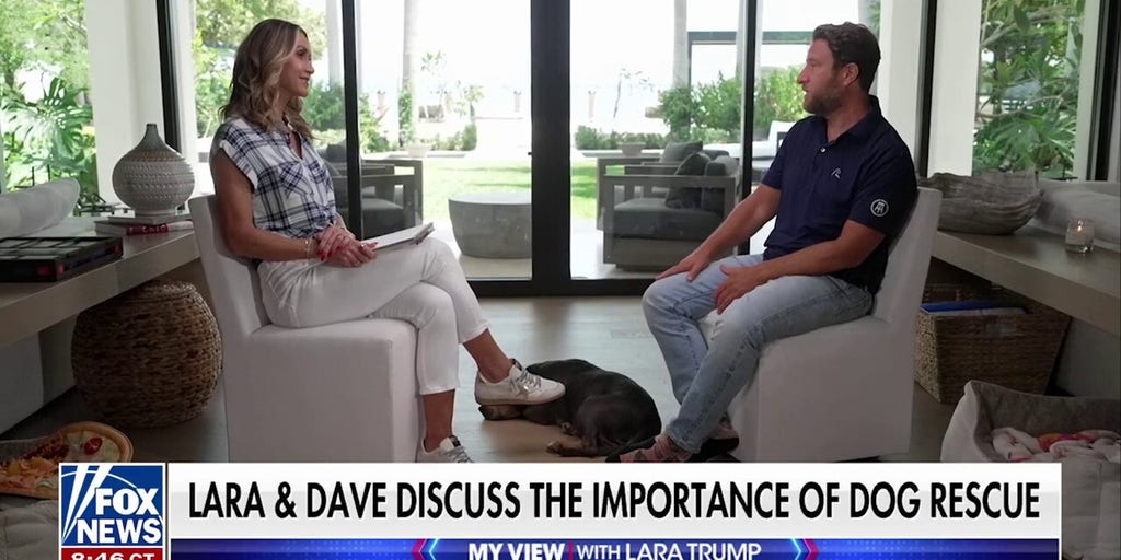 Dave Portnoy opens up about why he's a dog adoption advocate