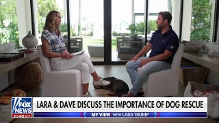 Dave Portnoy opens up about why he's a dog adoption advocate
