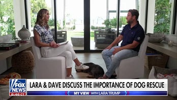 Dave Portnoy opens up about why he's a dog adoption advocate
