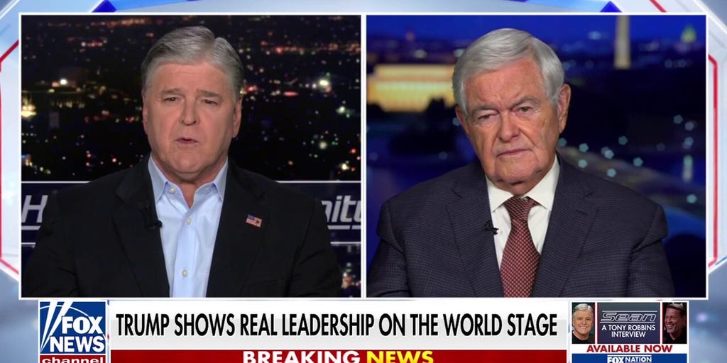 Abroad Trump is regarded as a hero, at home it’s totally different: Newt Gingrich