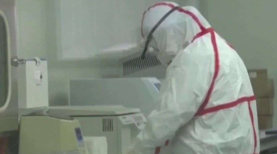 Investigation into COVID origins gaining traction