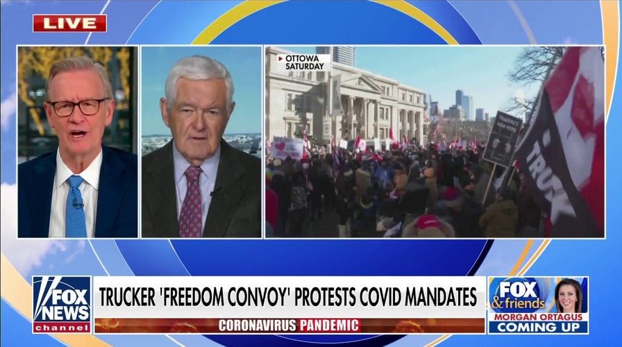 Gingrich: Canadian government acting ‘ferociously’ toward trucker protest