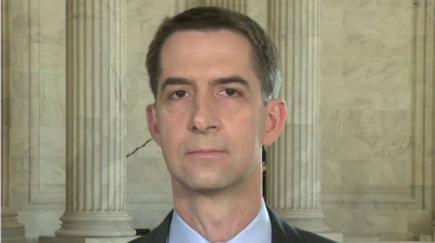 Tom Cotton: Hunter Biden investigation appears to be far-reaching