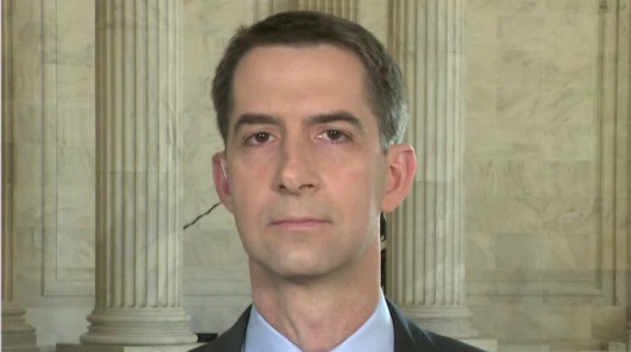 Tom Cotton: Hunter Biden investigation appears to be far-reaching